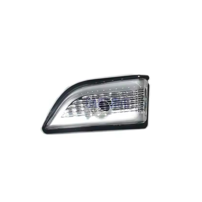 Wysokiej jakości światło lustra bocznego 31217288 Sygnał skrętu Części samochodowe dla Volvo XC60 2008-2013