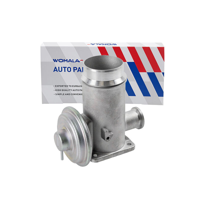 Womala Auto Parts Wtyczka recyrkulacji spalin OE 11717792077 Wtyczka EGR dla BMW