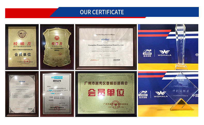 Womala Światło skrętu w prawo OE 30655423 dla Auto Parts S80 -06