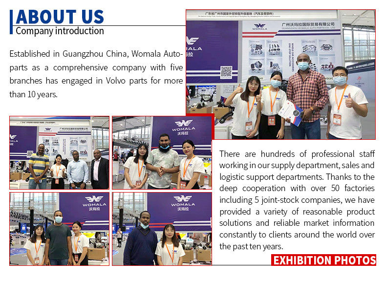 Womala Światło skrętu w prawo OE 30655423 dla Auto Parts S80 -06